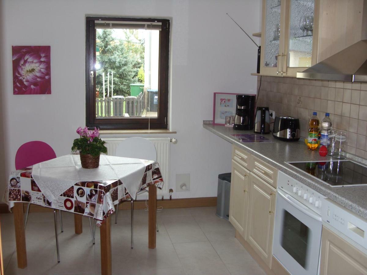 Ferienwohnung Frenkel Freital Kültér fotó